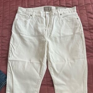 Everlane curvy ankle skinny jean